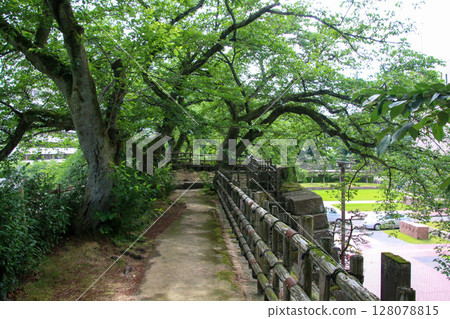 Fukui Castle 128078815