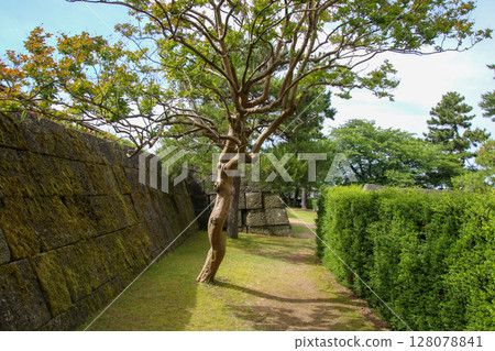 Fukui Castle Fukui Castle 128078841