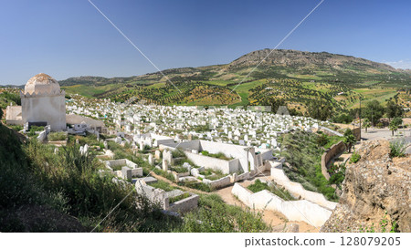 Morocco, Fez, view of the Marinid cemetery 128079205