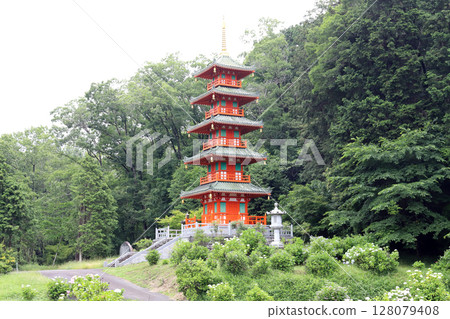 金剛寺的繡球花和五重塔（兵庫縣三木市） 128079408
