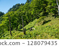十津川的山脈 128079435