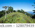 夏日的釋迦嶽山路 128079439