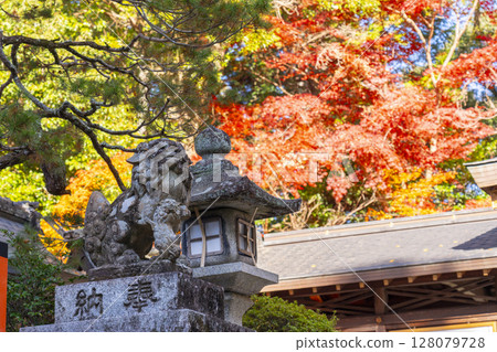 京都的秋天：鷺森神社境內的秋葉 128079728