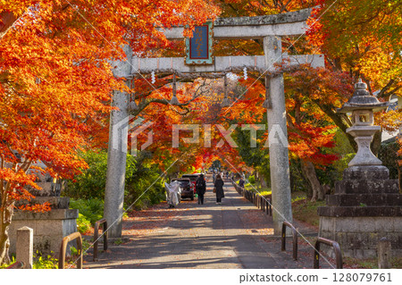 Autumn in Kyoto: Sagimori Shrine - A spectacular tunnel of autumn leaves Autumn in Kyoto: Sagimori Shrine - A spectacular tunnel of autumn leaves 128079761