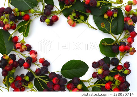 多彩六月莓果架 128080714