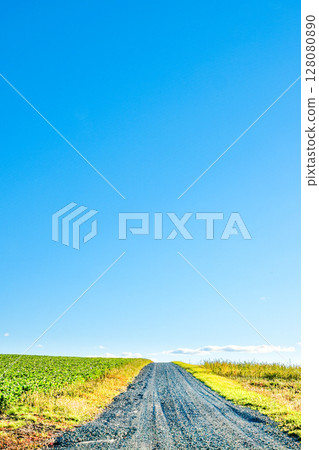 北海道的鄉村之路,天空晴朗蔚藍 北海道的鄉村之路,天空晴朗蔚藍 128080890