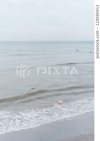 Shonan Sea Shonan Sea 128080912
