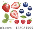 Watercolor berries 128081595