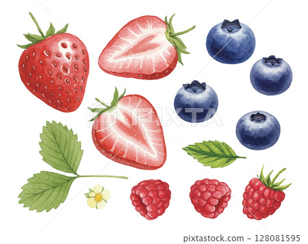 水彩漿果 128081595