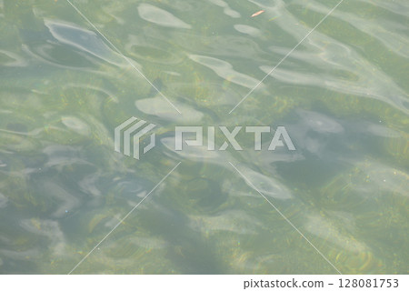 海 海 128081753