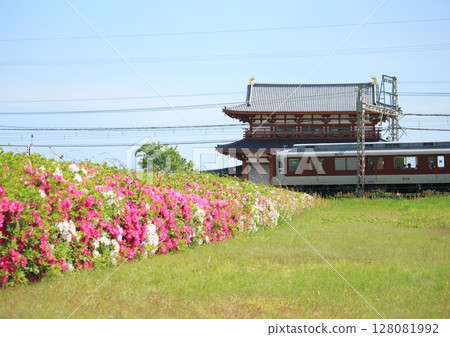 近鐵列車在世界遺產奈良平城宮復原後的朱雀門前行駛。 近鐵列車在世界遺產奈良平城宮復原後的朱雀門前行駛。 128081992