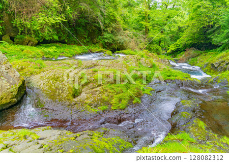 (Kumamoto Prefecture) Kikuchi Valley, Yojusanman Falls (Kumamoto Prefecture) Kikuchi Valley, Yojusanman Falls 128082312
