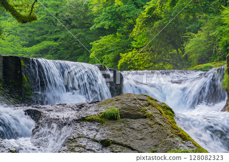(Kumamoto Prefecture) Kikuchi Valley, Yojusanman Falls 128082323