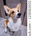 The dog is sitting 128082602