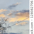 sunset in spring 128082706