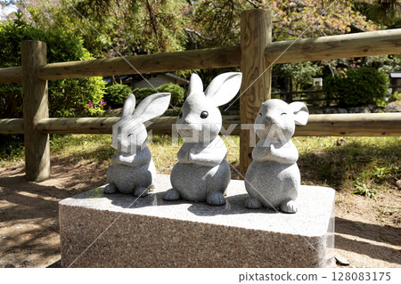 Cute stone rabbit statues can be seen here and there in the grounds of Izumo Taisha Shrine. Cute stone rabbit statues can be seen here and there in the grounds of Izumo Taisha Shrine. 128083175