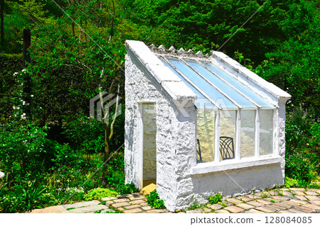 Scenery of ACAO FOREST 128084085