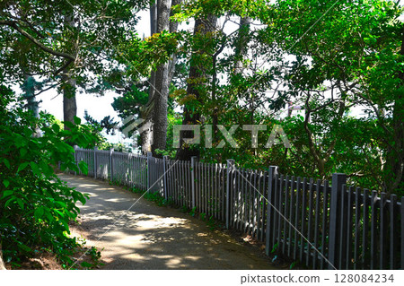 Scenery of Jogasaki Coast Scenery of Jogasaki Coast 128084234