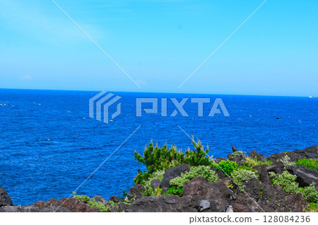 城崎海岸風景 城崎海岸風景 128084236