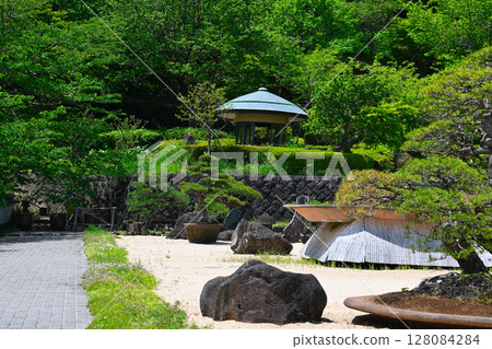 ACAO森林的風景 128084284