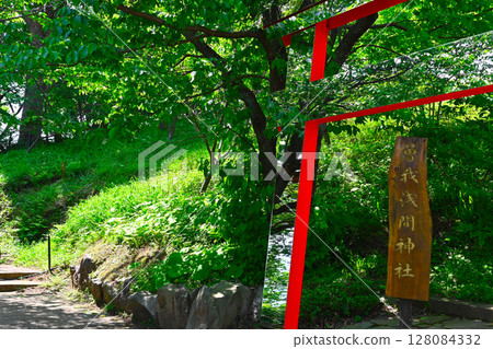 ACAO森林的風景 128084332