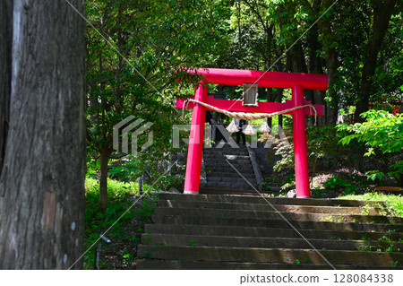 Scenery of ACAO FOREST Scenery of ACAO FOREST 128084338