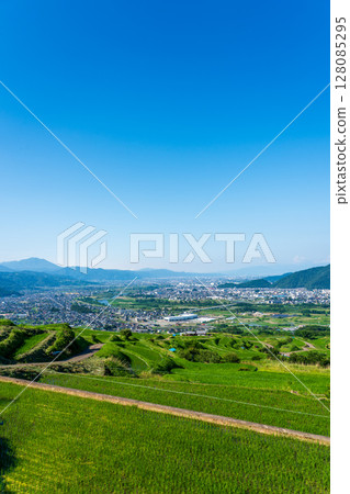 Nagano Prefecture landscape: View of the vast, cloudless Zenkoji Plain from the rice terraces of Obasute 128085295