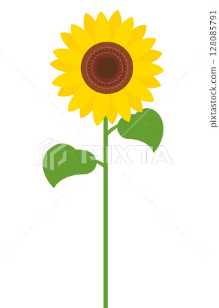 向日葵花插畫夏天 向日葵花插畫夏天 128085791