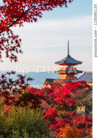 Kiyomizudera pagoda with red maple leaf in autumn at sunset, Kyoto 128086139