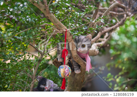Artificial cat and hanging ball decor on tree in Arashiyama Artificial cat and hanging ball decor on tree in Arashiyama 128086159