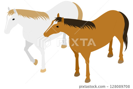 White horse and chestnut horse 128089708