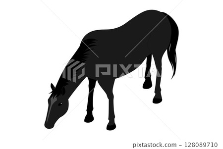 A black horse stretching its neck to eat grass on the ground 128089710
