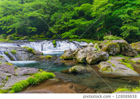 (Kumamoto Prefecture) Kikuchi Valley Hirokawara 128089838