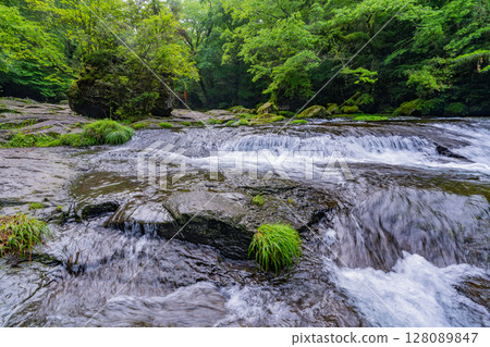 (Kumamoto Prefecture) Kikuchi Valley Hirokawara 128089847