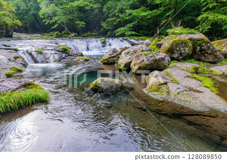 (Kumamoto Prefecture) Kikuchi Valley Hirokawara 128089850