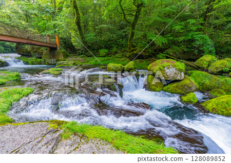 (Kumamoto Prefecture) Kikuchi Valley Hirokawara 128089852
