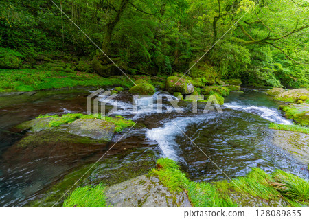 (Kumamoto Prefecture) Kikuchi Valley Hirokawara 128089855