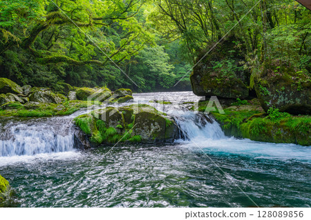 (Kumamoto Prefecture) Kikuchi Valley Hirokawara (Kumamoto Prefecture) Kikuchi Valley Hirokawara 128089856