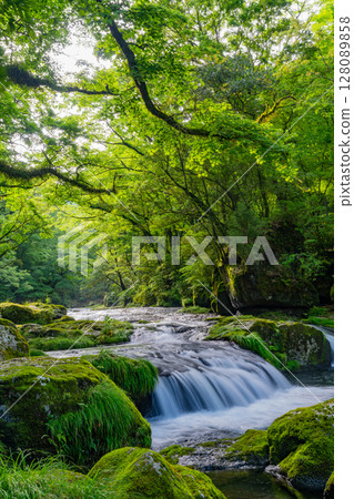 (Kumamoto Prefecture) Kikuchi Valley Hirokawara (Kumamoto Prefecture) Kikuchi Valley Hirokawara 128089858