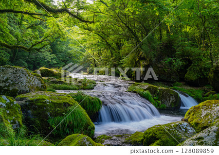 (Kumamoto Prefecture) Kikuchi Valley Hirokawara 128089859