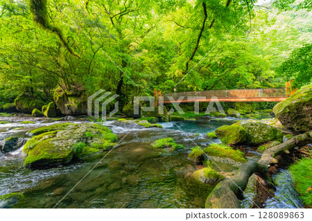 （熊本縣）菊池谷廣河原 128089863