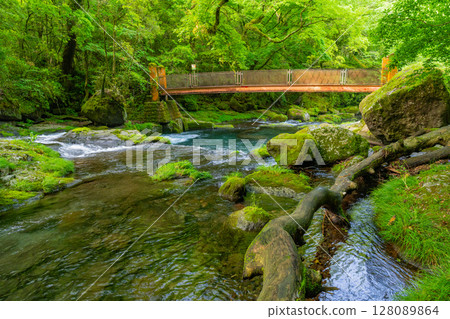 (Kumamoto Prefecture) Kikuchi Valley Hirokawara 128089864