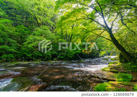 (Kumamoto Prefecture) Kikuchi Valley Hirokawara (Kumamoto Prefecture) Kikuchi Valley Hirokawara 128089879