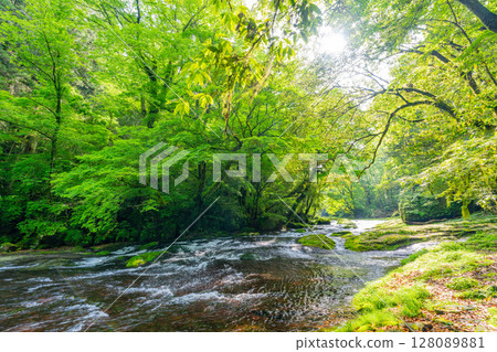 （熊本縣）菊池谷廣河原 128089881