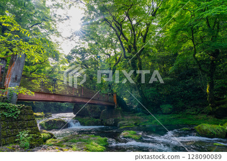 (Kumamoto Prefecture) Kikuchi Valley: Beautiful fresh greenery at Hirokawara (Kumamoto Prefecture) Kikuchi Valley: Beautiful fresh greenery at Hirokawara 128090089