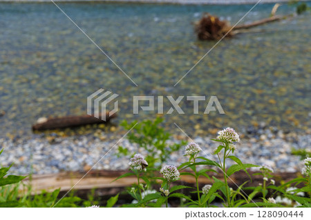 清澈的梓川和河岸風景(上高地) 清澈的梓川和河岸風景(上高地) 128090444