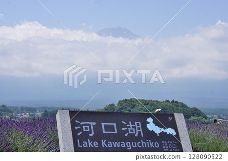 河口湖風景招牌 128090522