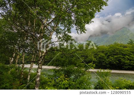 White birch and the Azusa River, a cool summer scene in Kamikochi 128090555