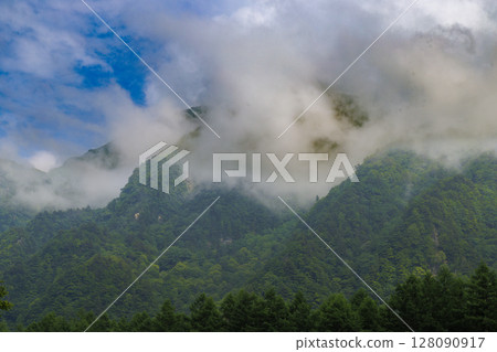 晨霧籠罩的上高地山脈 | 寧靜的綠色景觀 128090917