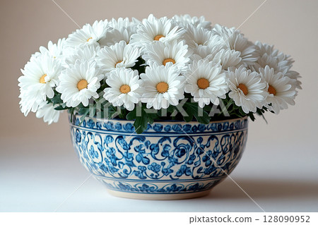 Perfect for gardening or plant care content. Chrysanthemums plant with white flowers on a white background. Small potted plant. Perfect for gardening or plant care content. Chrysanthemums plant with white flowers on a white background. Small potted plant. 128090952
